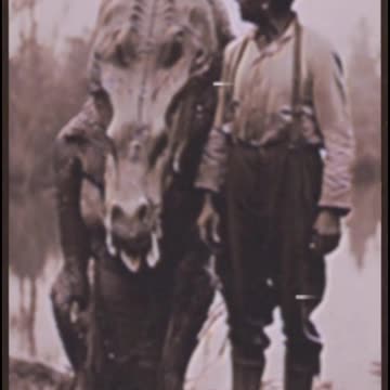 Wow, est-ce un dragon????? effrayant ...