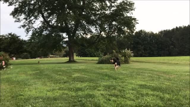 Mary's Move to Her Farm in Vermont