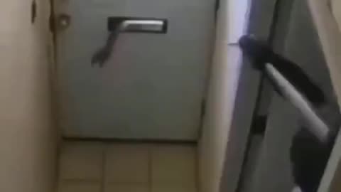 Would Be Thief Gets FAFO