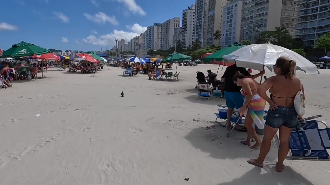 🇧🇷SAO PAULO Guaruja Best Beach Travel Brazil Tour🌴