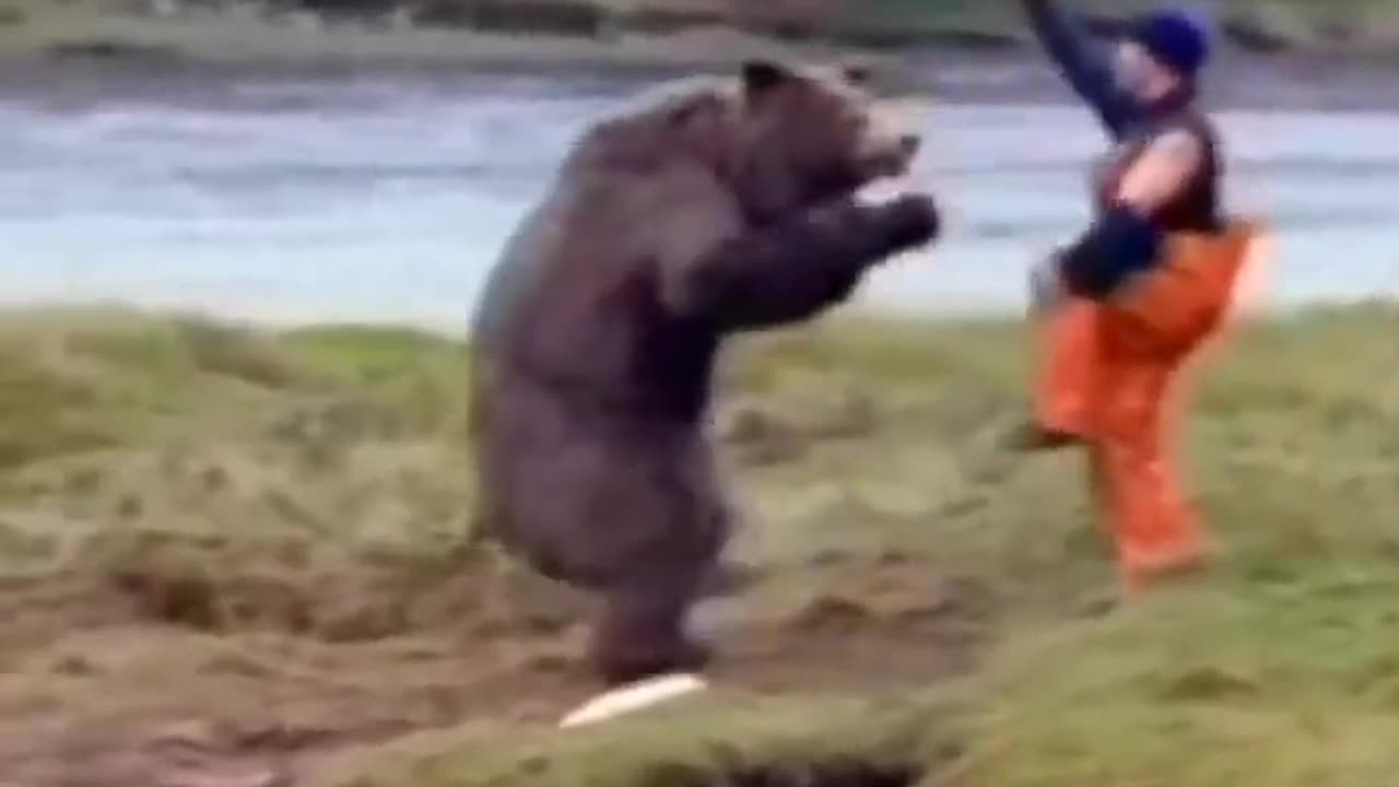 The Main Event | Brave Farmer Goes the Round with a Grizzley Bear in the Wild