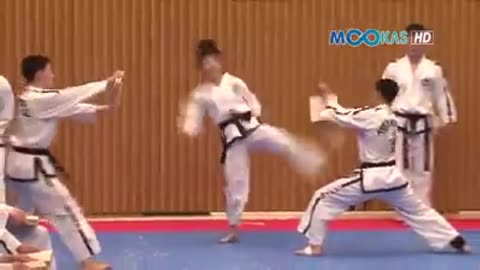 Taekwondo
