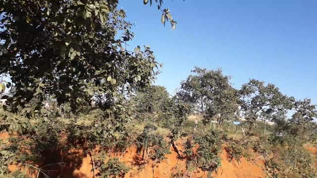 Cycling on the trails of Sete Lagoas and Region - MG - Brazil