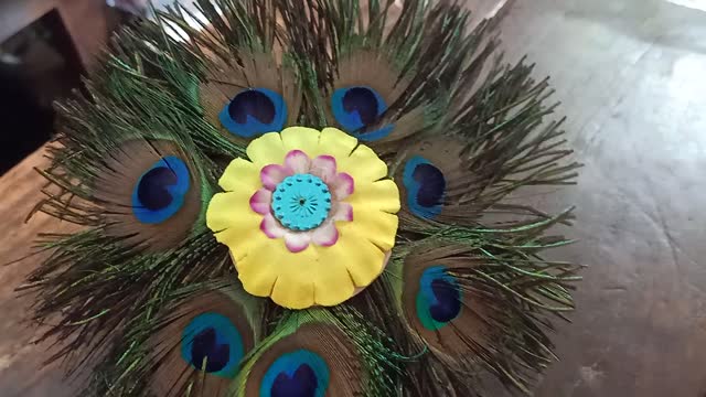 peacock feather video
