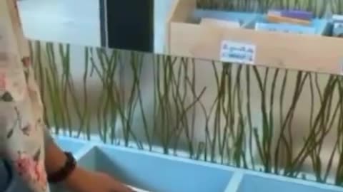 La manipulación mental a los niños