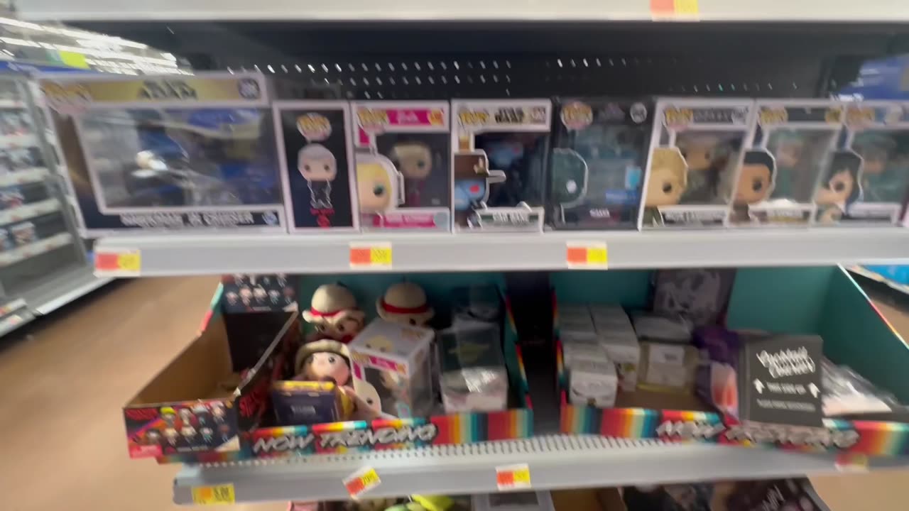 FUNKO FIG HUNT & UPDATE