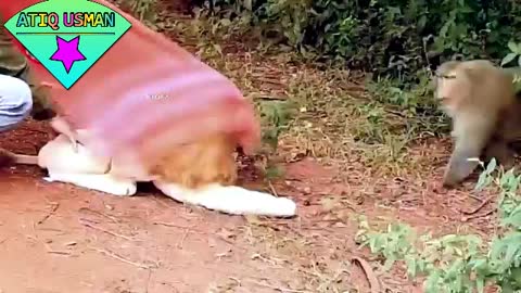 prank 2021 | dogs prank | prank with dog |