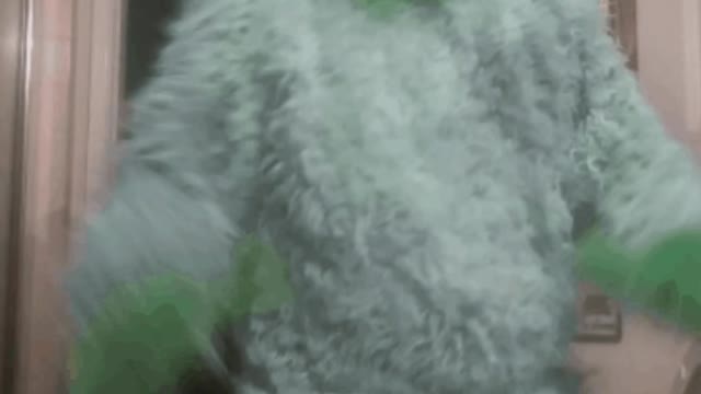 The Grinch