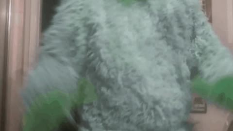 The Grinch