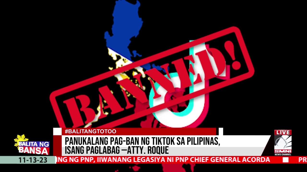 Panukalang pag-ban ng TikTok sa Pilipinas, isang paglabag —Atty. Roque