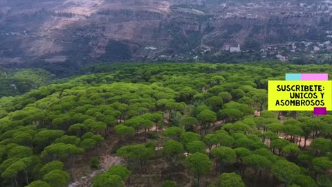 DRONE CAPTURE EPIC IMAGES