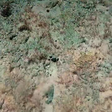 Entertainment under water