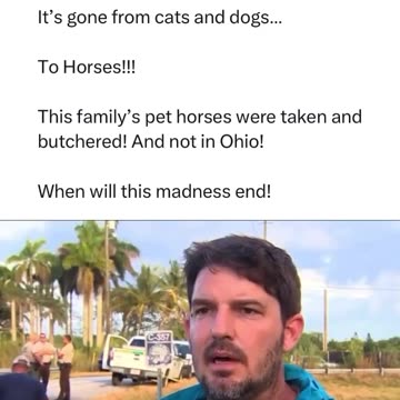 HCNN - TRUMP WAS RIGHT NOW THEY ARE STEALING, KILLING AND EATING AMERICAN HORSES.
