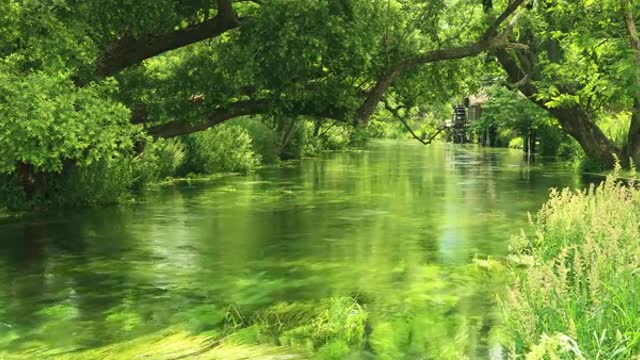 Beautiful Azumino water scenery Relax 3 hours