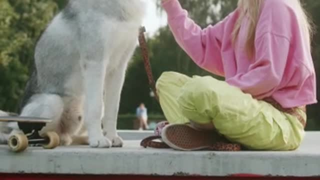 The dogs playing with his owner