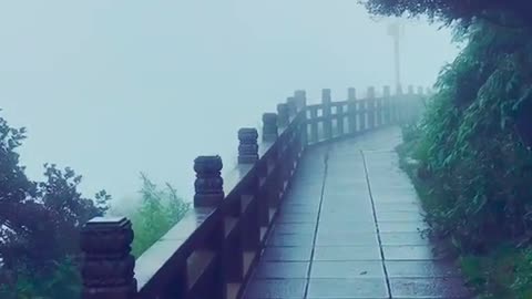 Foggy morning walking in the mountain road