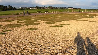 Walking along a beach in Hampshire. Speedlapse
