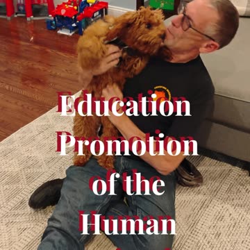 Four Paws Up Bo Bear!! Graduate Proofing Behaviors