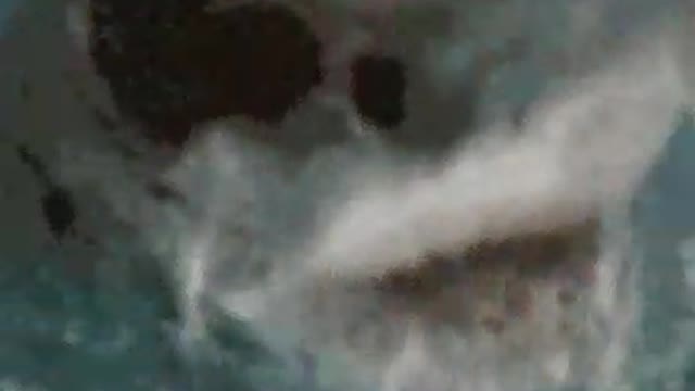dangerou video