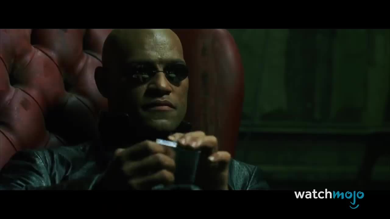 Top 10 Things Only Real Matrix Fans Would Know