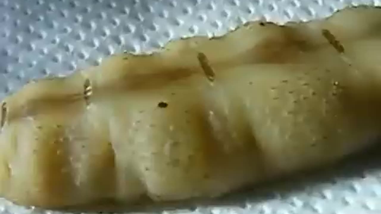 Termite Queen Can Lay Over 30,000 Eggs Per Day