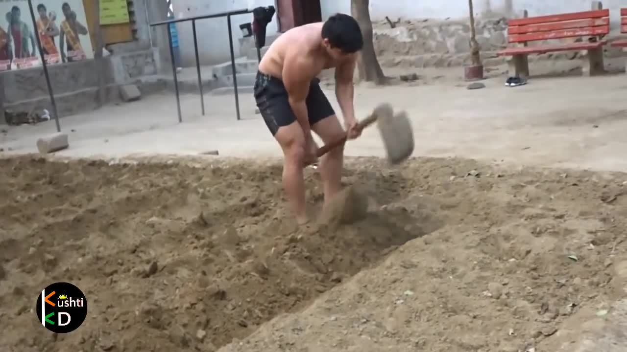 Legs work out,chest work out,arms work out