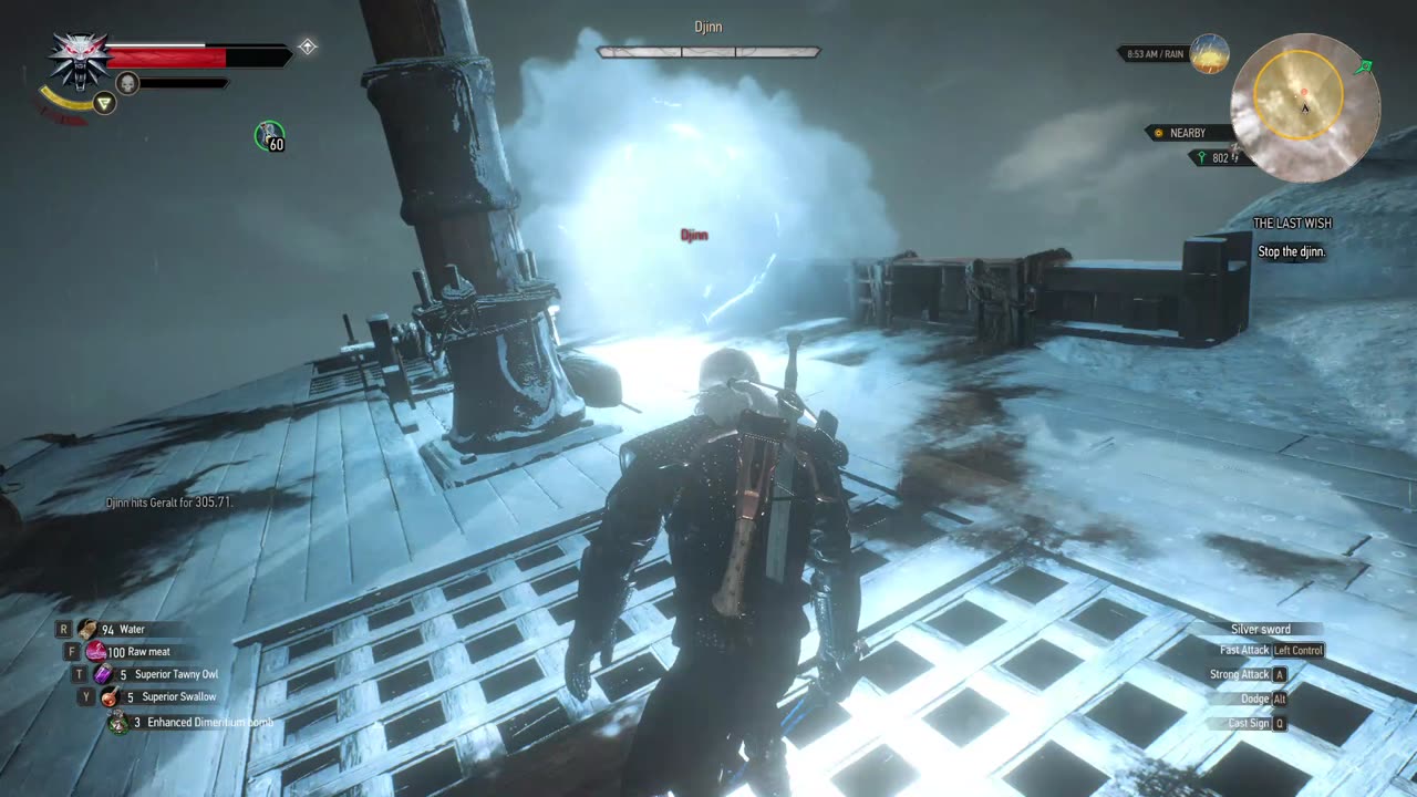 The Witcher 3 last wish part 3 fighting djinn