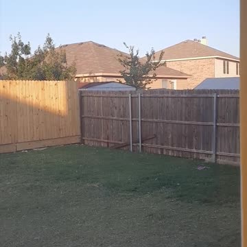 Where In The World Is Tucker Carlson?