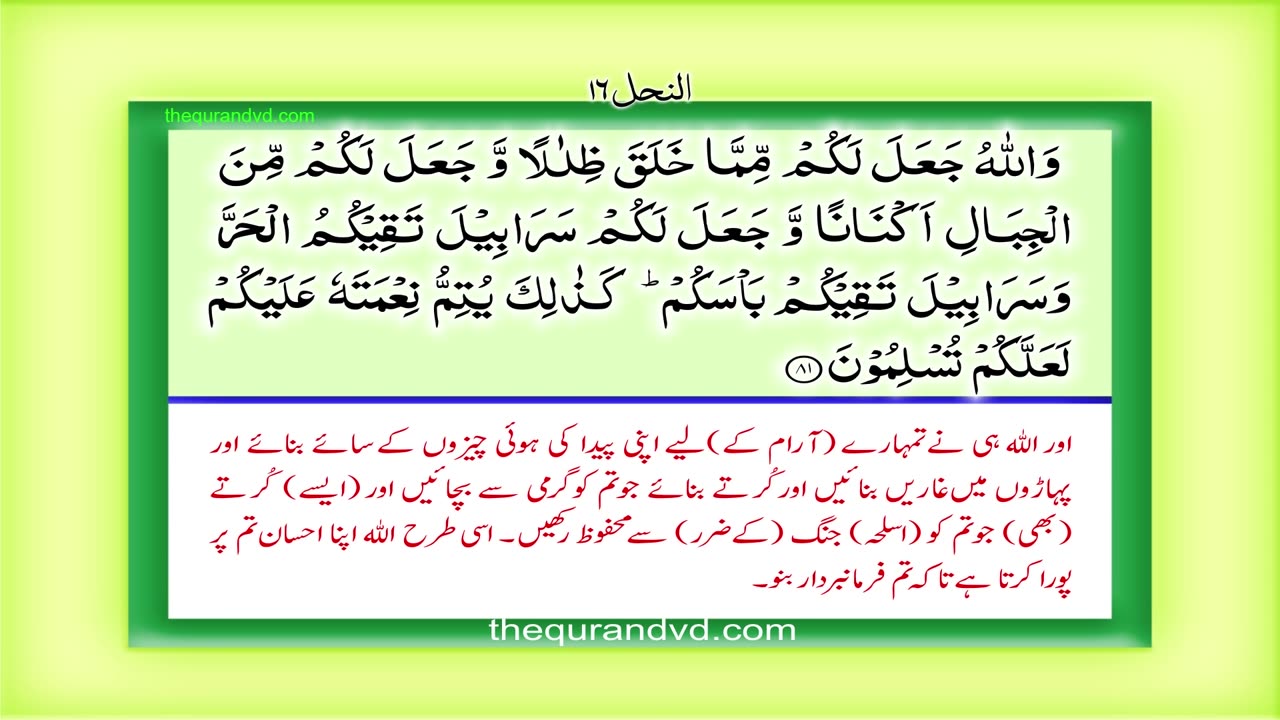 Holy Quran - Para 14 - Juz 14 Rubama HD Quran Urdu Hindi Translation