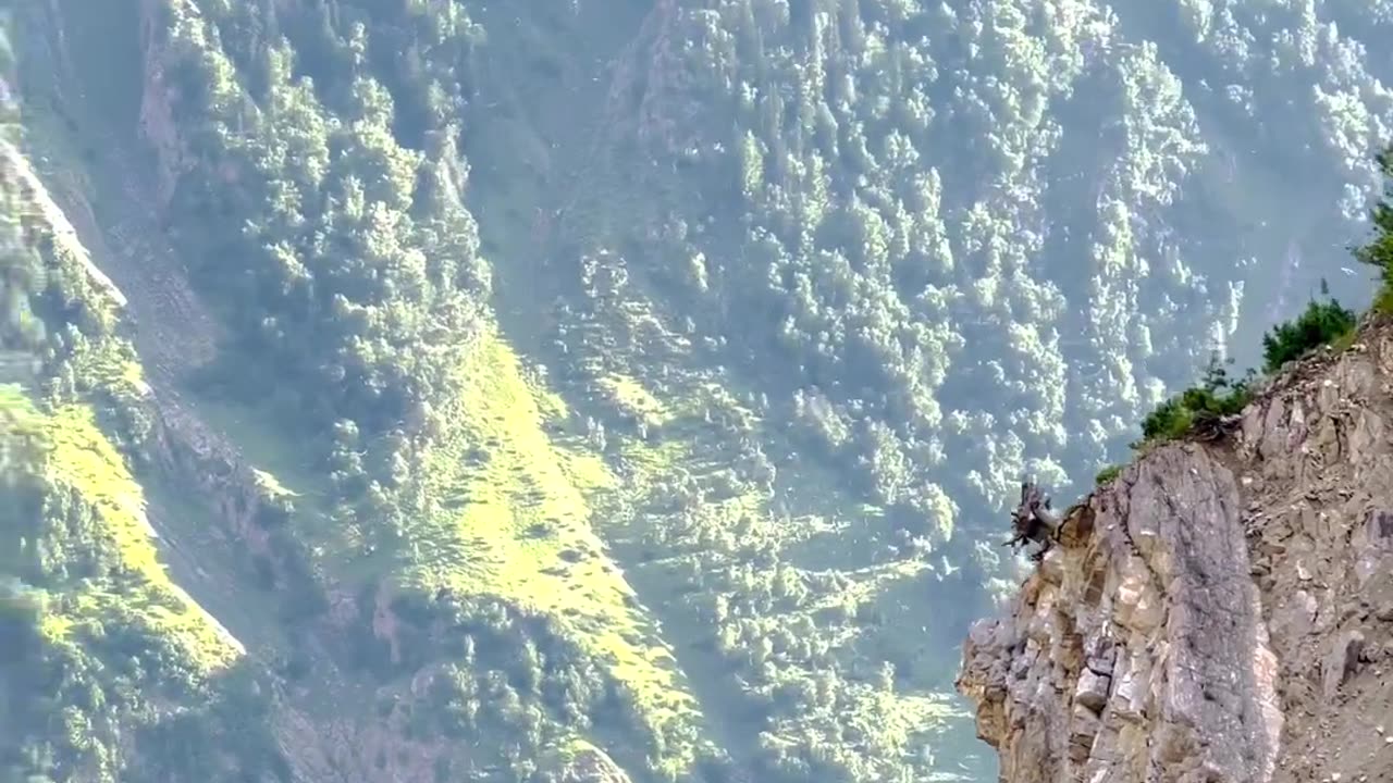 Environment waterfall