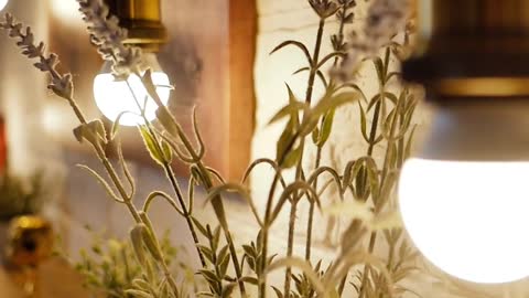 Design Your Dream Home Guide