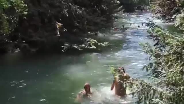 Diving and swimming in forest rivers, getting close to nature