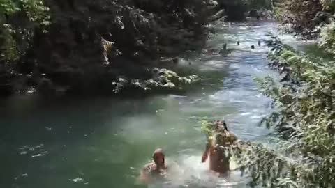 Diving and swimming in forest rivers, getting close to nature