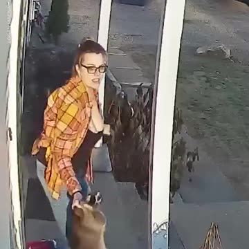 Heroic mom saves terrified five-year-old from raccoon attack | USA TODAY #Shorts