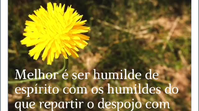 VERSÍCULO DO DIA.