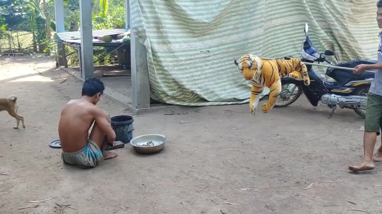 Fake Tiger Prank Dogs Run Try To Stop Laugh So Funny Prank 2021