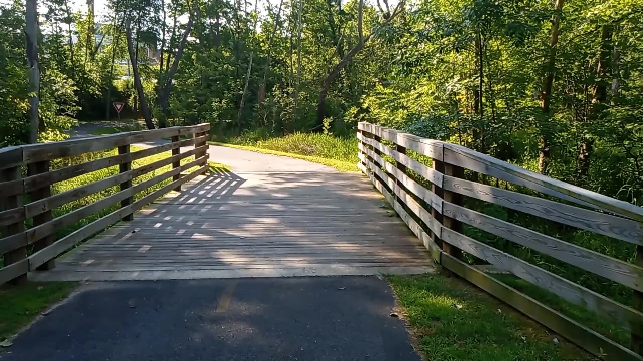 Dog Wood Trail in Farmville Virginia