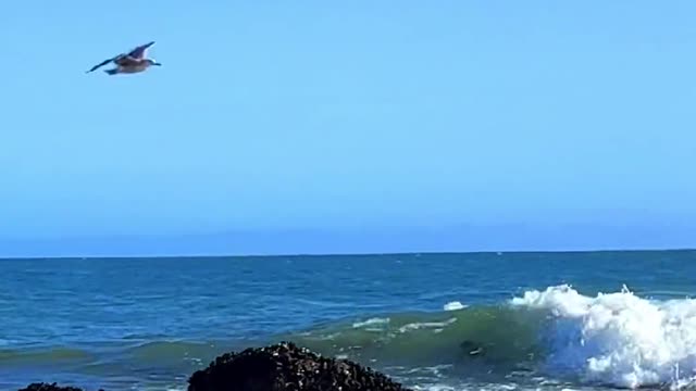 Like the sea, because the sea can contain all things.