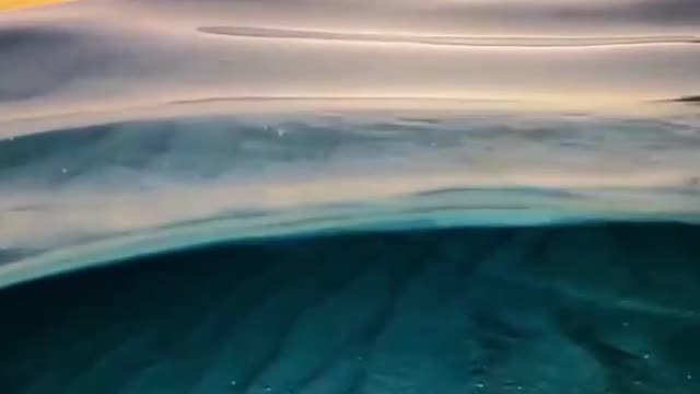 We #visited the bora bora island #🔥🔥🔥🔥🔥#what a moment this is 😃😃😃