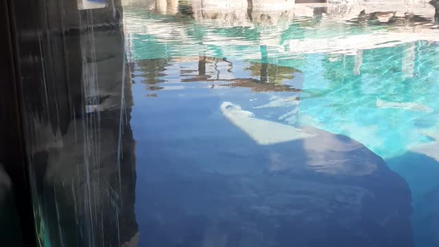 hogle zoo salt lake city utah