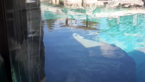 hogle zoo salt lake city utah
