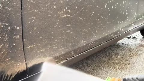The BEST citrus pre wash for your car 🔥