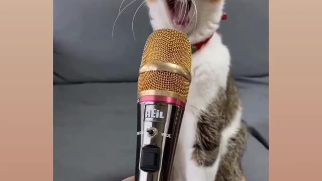 Singing for cat 🤔😳🤯