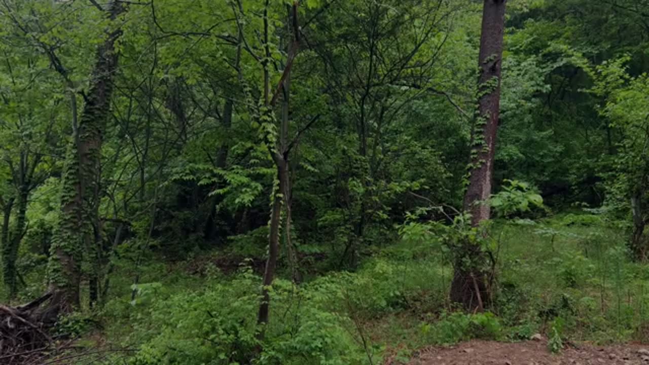 SOLO CAMPING IN THE RAIN 🌟 connecting an inflatable tent and tarp ☔ Perfect camping full setup