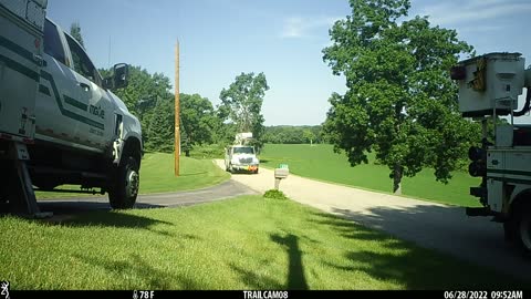 Big Tree drop