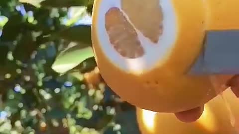 Omg😱