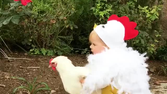 Ally's Chicken Costume Video