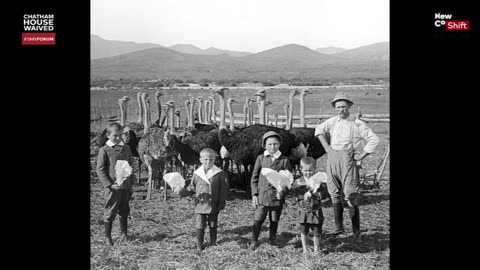 JEWS KILLED ALL THE ANIMALS FOR BUSINESS