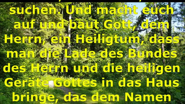 Losung & Lehrtext