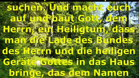 Losung & Lehrtext